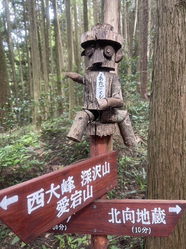 東吾野・地域を歩こう！に参加し山岳救助に備えた踏査訓練を実施